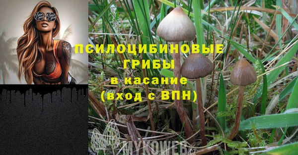 ALPHA PVP Пестово
