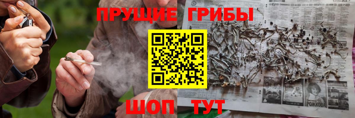 купить закладку  Галлюциногенные грибы мухоморы  Сертолово  Псилоцибиновые грибы MAGIC MUSHROOMS 